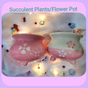 1Pair Pink Four Leaf Slippery Ceramic Succulent Plants/Cactus/Flower Pot 一对粉色四叶草/仙人掌/花盆（滑面）