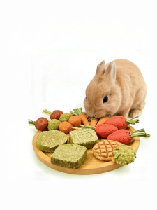 PET AND YOU | Chew Toy Edible Snack For Small Pets