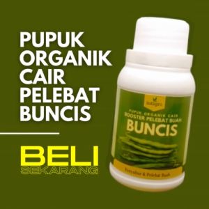 Pupuk Pelebat Buncis / Obat Pelebat Buah Buncis / Obat Penyubur Tanaman Buah Buncis / Booster Buncis