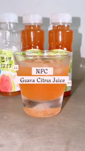 Yizhibi NFC Guava Citrus Juice Drink +  Mount Fuji Glass Cup with Wooden Gift Box