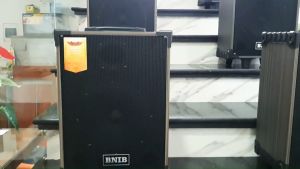 Loa hát karaoke hay giá rẻ loa di đông bnib T10 tặng 2 míc hát nhẹ êm