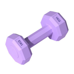 JBA | Solid Non-Slip Home Dumbbells 2kg
