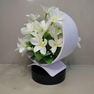 Tanaman Hiasan Minimalis & Pajangan Ruangan Tamu