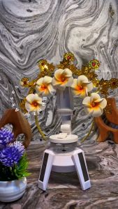 TERLARIS!!! Bando Bunga Bali Tradisional | Bando Adat Anak & Dewasa Lomba & Kartini (COD)