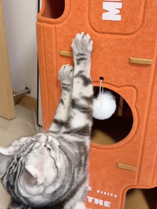 💯PG🥊 Extra Large Cat Tunnel Scratching Board Scratch Villa Bed Hole Furniture Lounge Hideaway Indoor