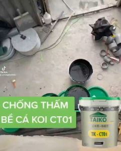Keo Chống Thấm bể cá hồ chưa nước móng nhà sàn mái Taiko CT01 - Thùng 1 Lít
