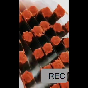 100pcs No Tire Removal Repair Tool Tubeless Rubber Seal Strip Multi Vehicle Puncture Solution