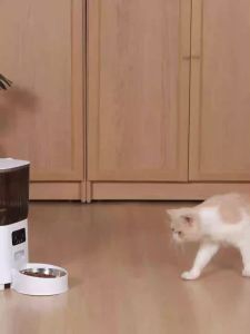 5L Pet Feeder with Camera Automatic Cat Feeder Smart Dog Food Dispenser WiFi Timing Stainless Steel Feeding Bowl(No 5V 2A Plug)