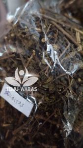 Daun Beluntas Kering 250 gr Kering Penyakit diabetes