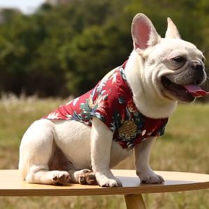 Áo sơ mi đi biển in hình cây dừa/quả dứa dễ thương phong cách Hawaii thời trang mùa hè dành cho cún cưng Áo cho Chó Mèo