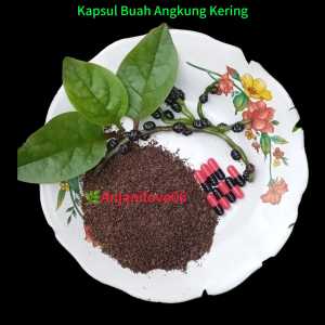 Kapsul Buah Angkung Kering isi 3 kapsul