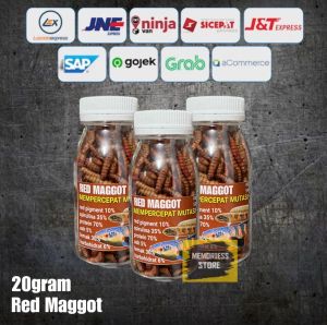 Super maggot 20gram | maggot kering red yellow blue | pakan ikan predator | pakan ikan channa