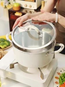 DUMIK | 316 Stainless Steel Food Grade Pot Electromagnetic Stove and Gas Compatible 2-Handle