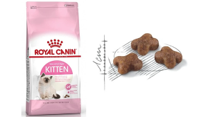 400g 2kg Royal Canin Kitten Cat Dry Food Immune System Support Health Balanced Nutrition Dry Food