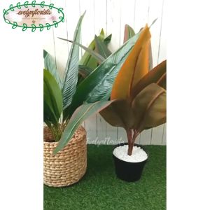 Pohon Artificial Daun Kunyit Hijau & Cokelat Pot Dasar Hitam Cover Eceng Gondok Dekorasi Rumah Aesthetic