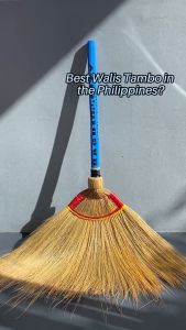 Kleensafe Soft Broom Baguio Regular Walis Tambo Plastic-coated Wooden Handle Household