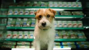 Natures Gift Beef Barley and Vegetables 700 g. Can Food สูตรเนื้อวัว12 กระป๋อง