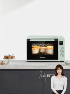 Hauswirt | Commercial Bread & Cake Baking Oven with Fermentation Function