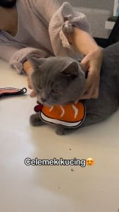 Hayylife Bib Hewan Peliharaan & Bandana Kucing atau Anjing: Aksesoris Pakaian Hewan Peliharaan Kualitas Tinggi