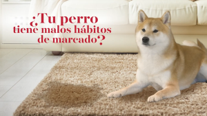 Natures Miracle Advanced Platinum No More Marking  DA-3274