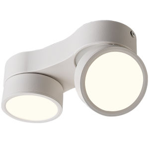 DENGFU | Ultra-thin Adjustable LED Ceiling Downlight Dual-beam Diffusion