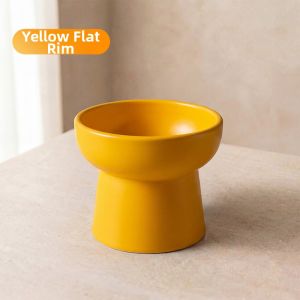 HELLOLEIBOO | Cervical Protection Tilted Cat Water Bowl