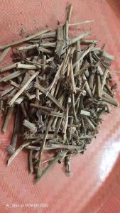 Ranting Sirih Kering / Pohon Ranting Seureruh Kering Alami / Natural Dry Betel Branch Tree