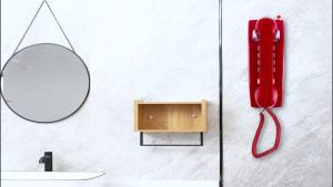 Traditional Wall Phones for Landline with Mechanical Ringing: Retro Wall Mounted Phone & Waterproof Classic 2554 Wall Telephone with Voicemail Indicator