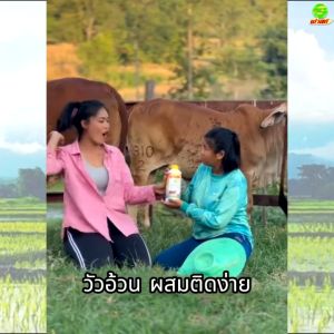 บำรุงระบบสืบพันธุ์ให้สัตว์สมบูรณ์แข็งแรง ร่าเริง สัตว์ลักษณะดี มีภูมิคุ้มกันที่ดี ฟาสท์ริช168 ฟาสท์ไคโตซาน ฝาสีเหลือง6ขวด สินค้าพร้อมจัดส่งใน 1 วัน