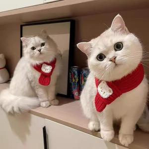 New Year Celebration Scarf for Cats And Dogs Small Bear Red Neck Warmer Short Hair Bichon Puppy Warmth Protection Accessory