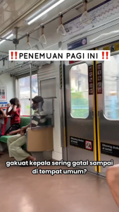 CLANISH Shampo Penumbuh Rambut Merawat kulit kepala mengatasi kutu rambut mengatasi ketombe