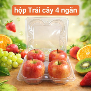 Hộp Đựng Trái Cây 4 Ngăn Trong Suốt – Hộp Nhựa PET An Toàn – 50 Cái/Bịch