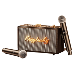 kinyo | Integrated Microphone and Speaker Home Karaoke System Bluetooth