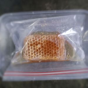Madu Sarang 100gr /Insya Alloh murni100% (Setok 1bisa di tingkatkan sampai 50)