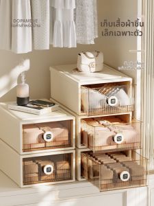 MEIZHUFU | Multifunction Underwear Organizer Box