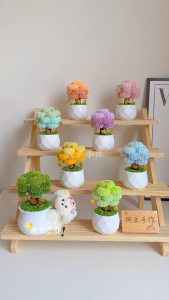 Chậu cây kim tiền kẽm nhung mini nhiều màu sắc – cây phong thủy hút tài lộc may mắn trang trí bàn làm việc