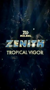 Bộ Quần Áo Bóng Đá BULBAL Zenith Chất Vải Bul-Wave Mềm Mại Thoáng Mát