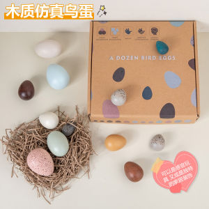 Đồ Chơi Giáo Dục Kids Legend Trứng Chim Giả Trứng Gà Trứng Vịt Hình Dạng Nhiều Màu 12 Con Hộp Đồ Chơi Giáo Dục Cho Trẻ Em