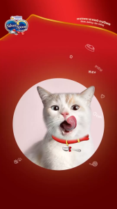 Thức Ăn Hạt Cho Mèo Silver Spoon Nhật Bản Cá Ngừ / Thịt Gà / Giảm Nôn Trớ