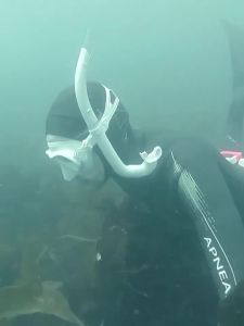 Scubapro | Compact Professional Dive Mask