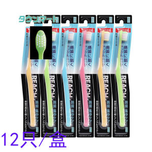 แปรงสีฟันดูแลฟัน REACH แปรงสีฟันแบบสองช่วง แปรงสีฟันแบบพกพา แปรงสีฟันแบบพกพา 12 ชิ้น/กล่อง แปรงสีฟันแบบพกพา