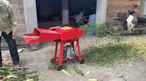 Máy băm rơm làm nấm và chuyên phục vụ chăn nuối băm cỏ rau bèo