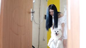 🐕🐱Pet powerful hair dryer animal grooming warm air fast hair dryer 6500w high power low noise animal grooming hair dryer with temperature control nozzle fast hair dryer🐕🐱