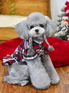 Christmas Teddy Dog Clothes Pure Cotton Flannel Comfortable Four-Legged Skirt Pants Scarf Couple Set Pet Fashion Accessories