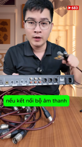 2 sợi Dây Canon Cái Ra AV - [ dùng cho vang kết nối xuống amly ]