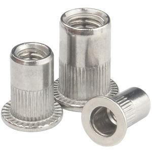 BAODEFENG | 304 Stainless Steel Rivet Nut Flat Head with Knurling