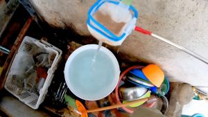 Artemia OPTIMUS PRIME Biru 10 gram - Sekualitas Supreme Plus 10gr gr