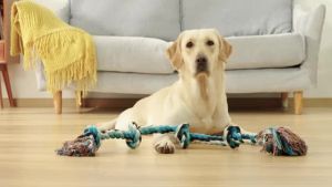 Interactive Dog Toys For Medium Large Dogs Indestructible Giant Rope Pet Chew Toys Safe Puppy Teeth Cleaning Play Game