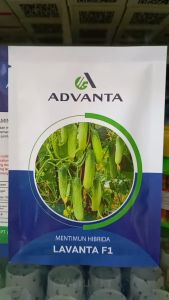 Benih Timun Lavanta F1 20 Gram