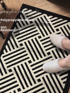Luxury Entryway Mat Non-slip Stain-resistant Carpet